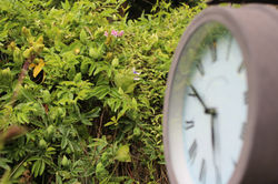 Clock and Pagoda.jpeg