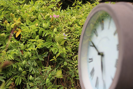Clock and Pagoda.jpeg