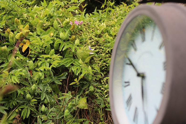Clock and Pagoda.jpeg