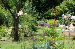 Abundant garden hero.jpeg