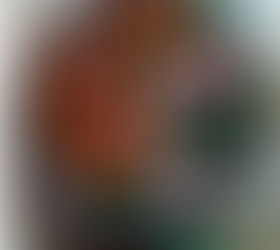 Raja Parba in Odisha during the pandemic