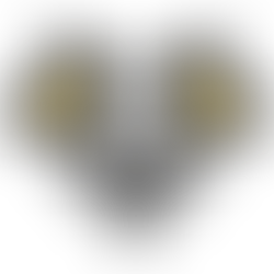 Competitive Ruling - Dorado Gaming Rho