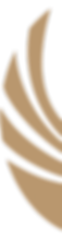 TRI_L_Bildmarke HG.png