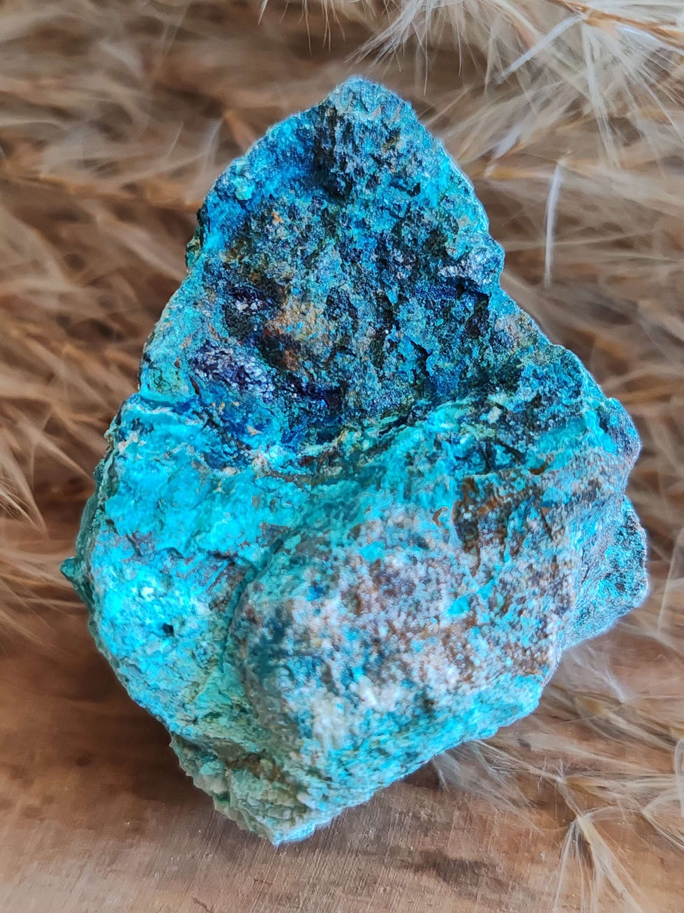 Miniature : Chrysocolle brute
