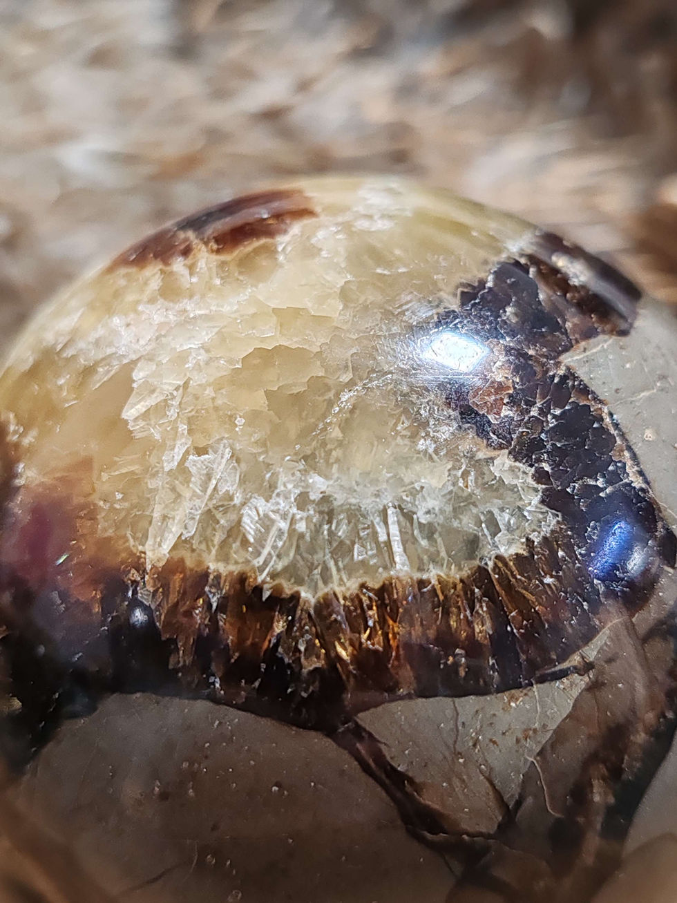 Miniature : sphère en septaria