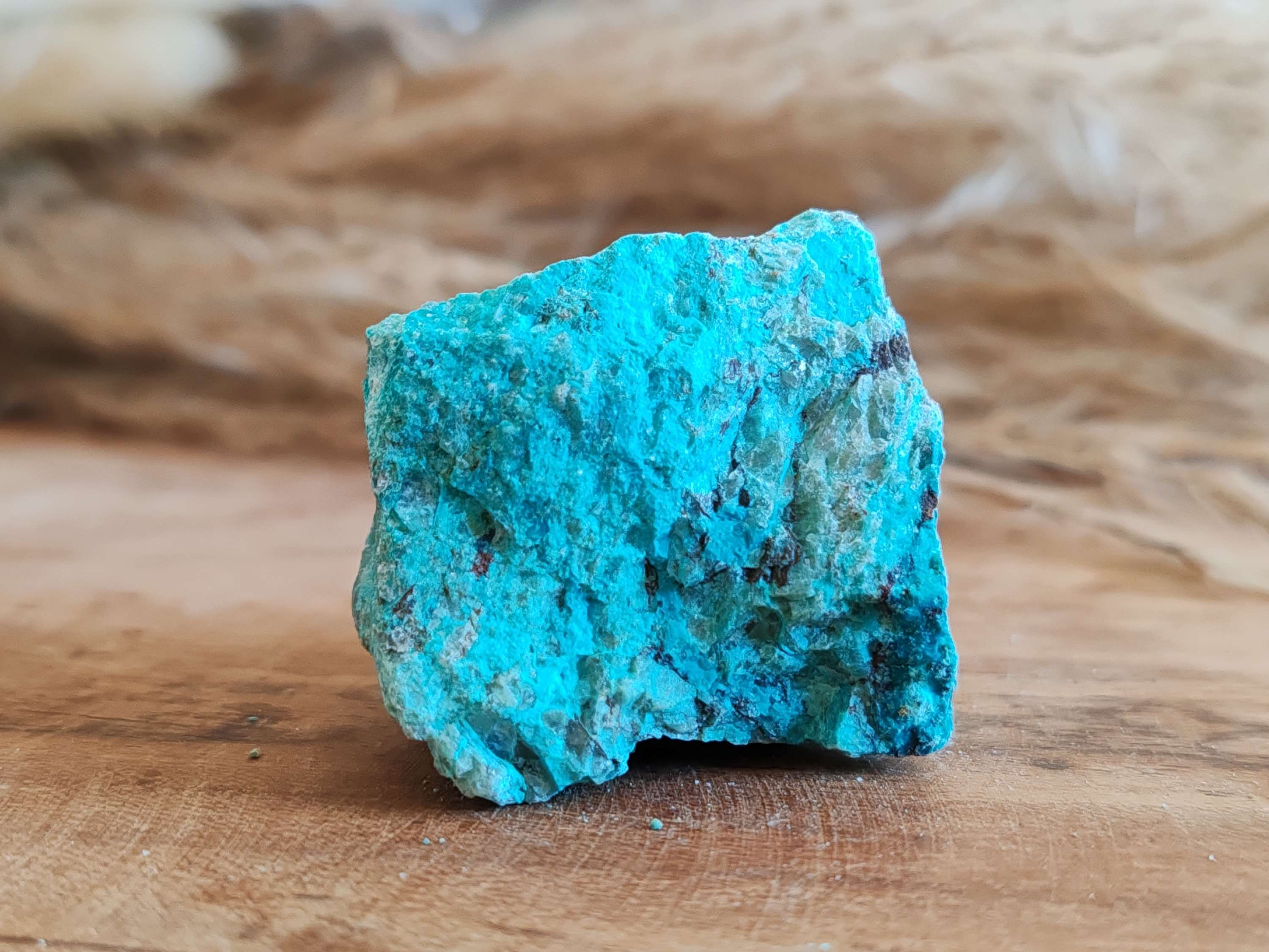 chrysocolle brute