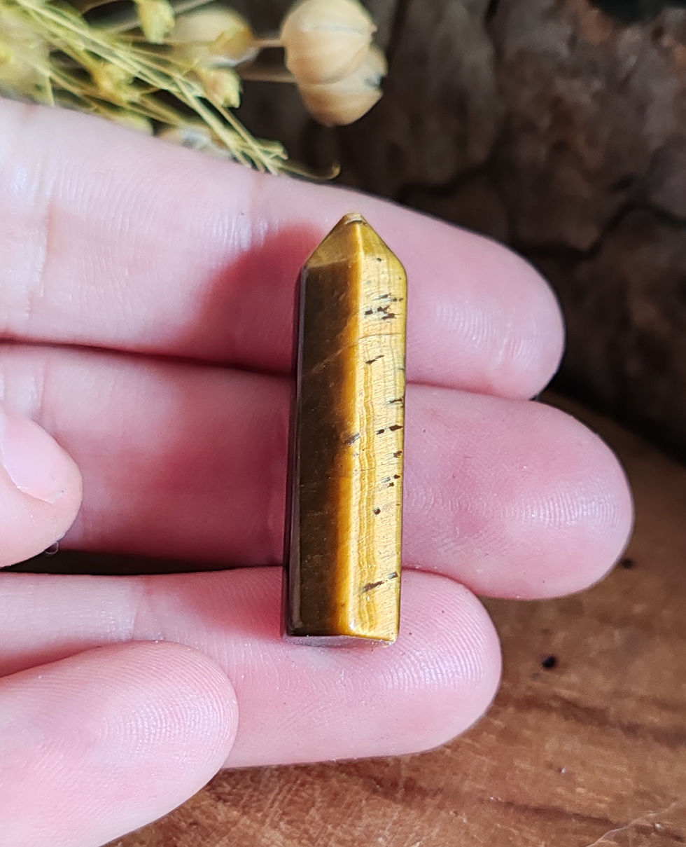 Miniature : Œil de Tigre Naturel Taillé en Pointe – Protection Énergétique