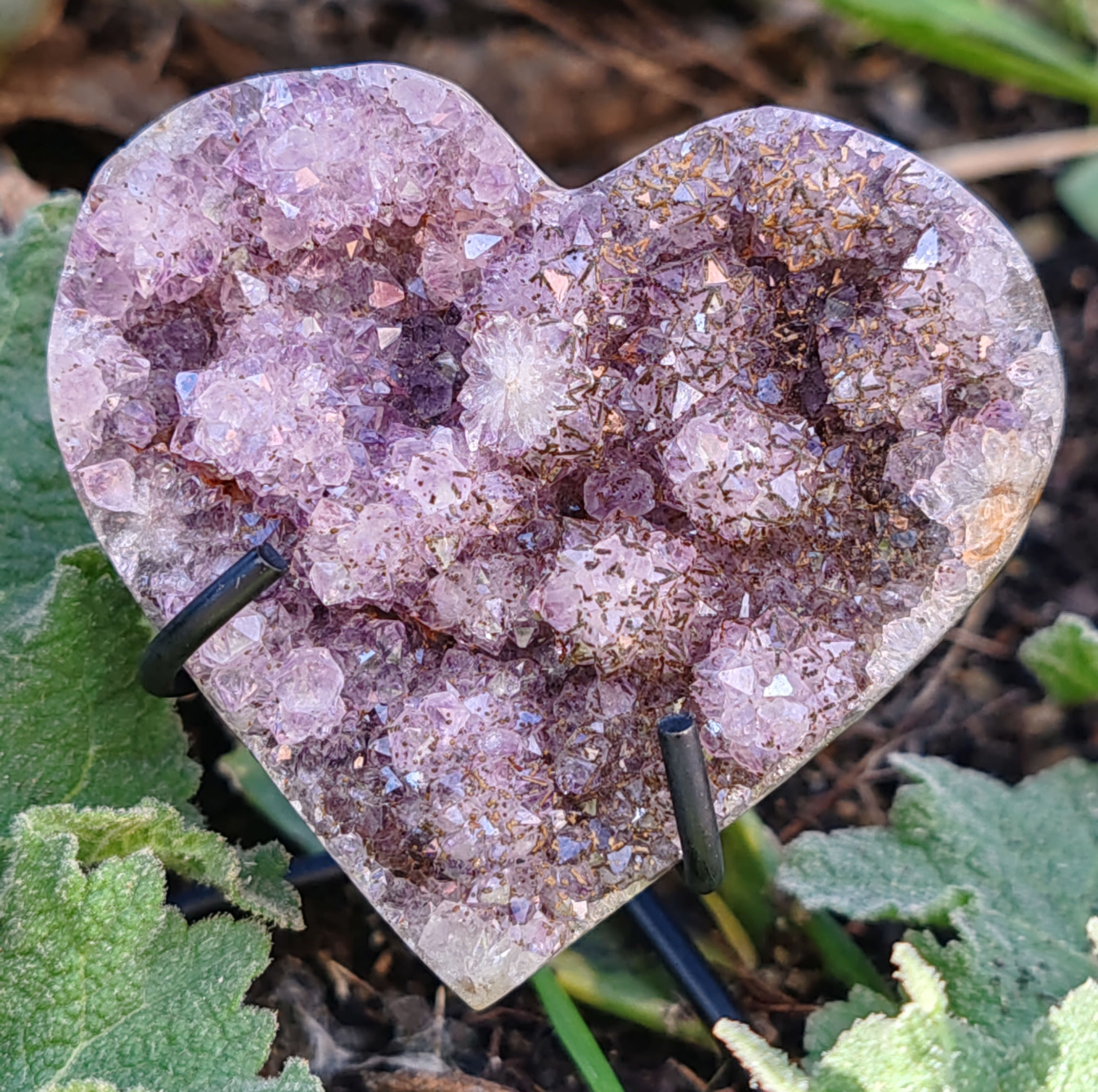 Améthyste cactus en forme de cœur
