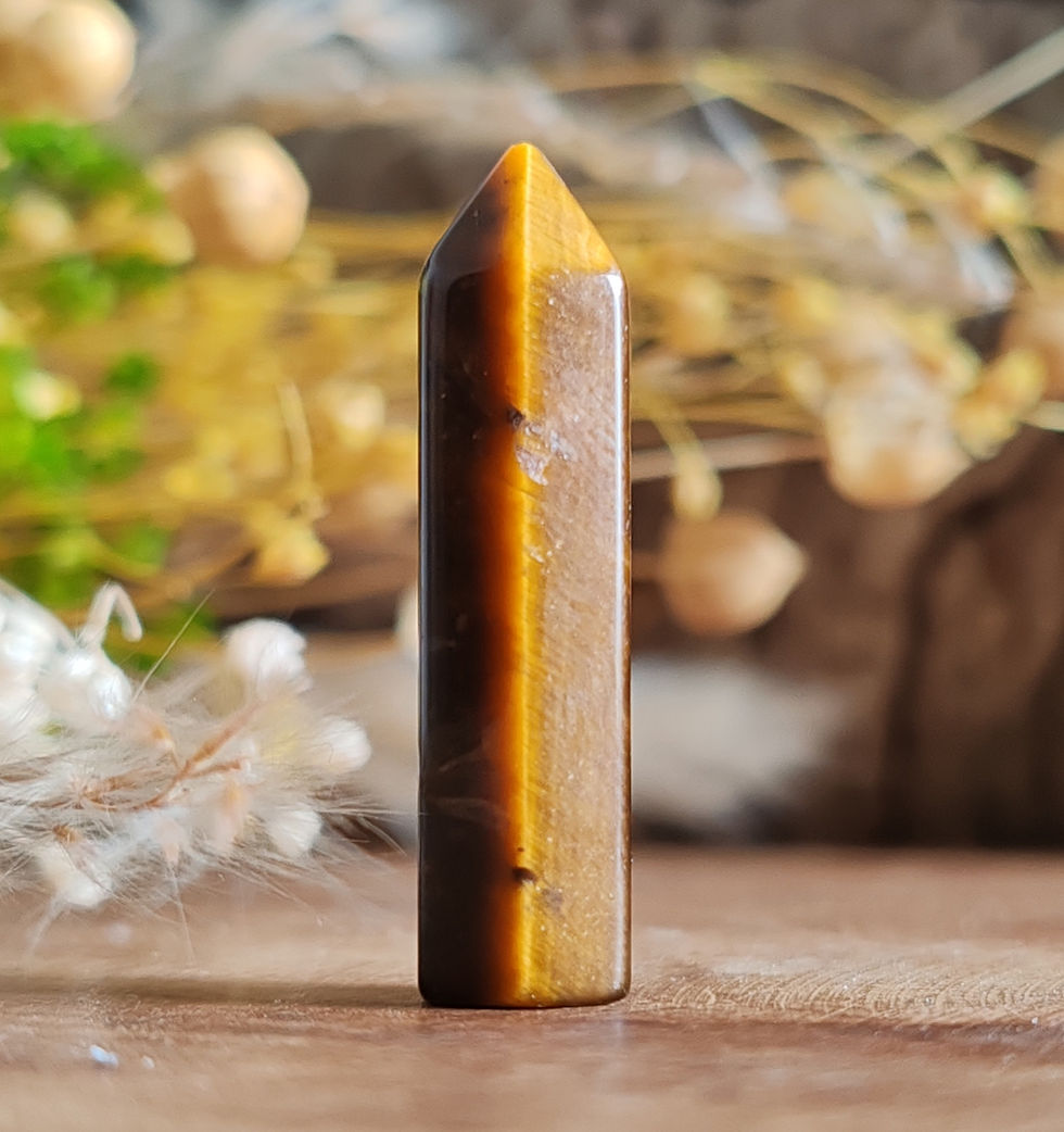 Miniature : Œil de Tigre Naturel Taillé en Pointe – Protection Énergétique