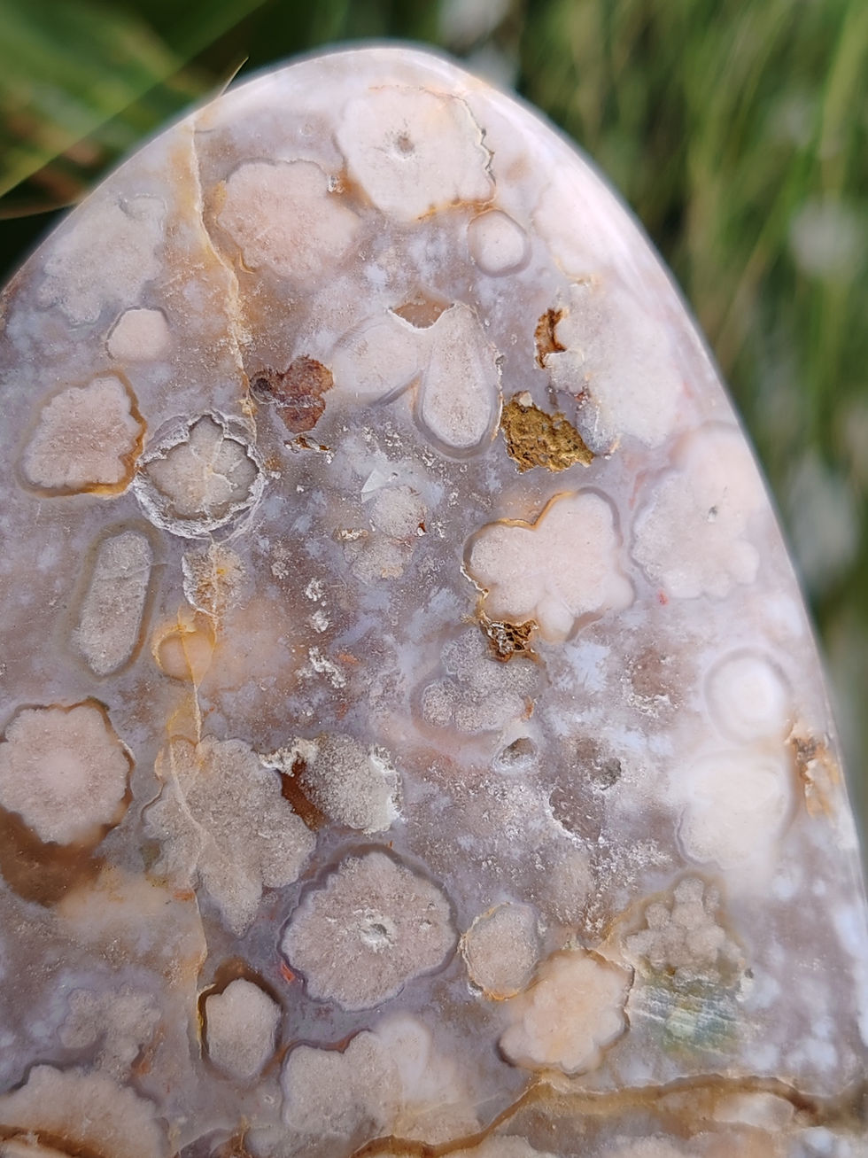 Miniature : Forme libre en Agate fleur de cerisier ||