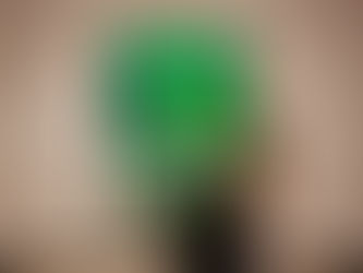 The Green Vase