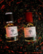 Us in another Universe