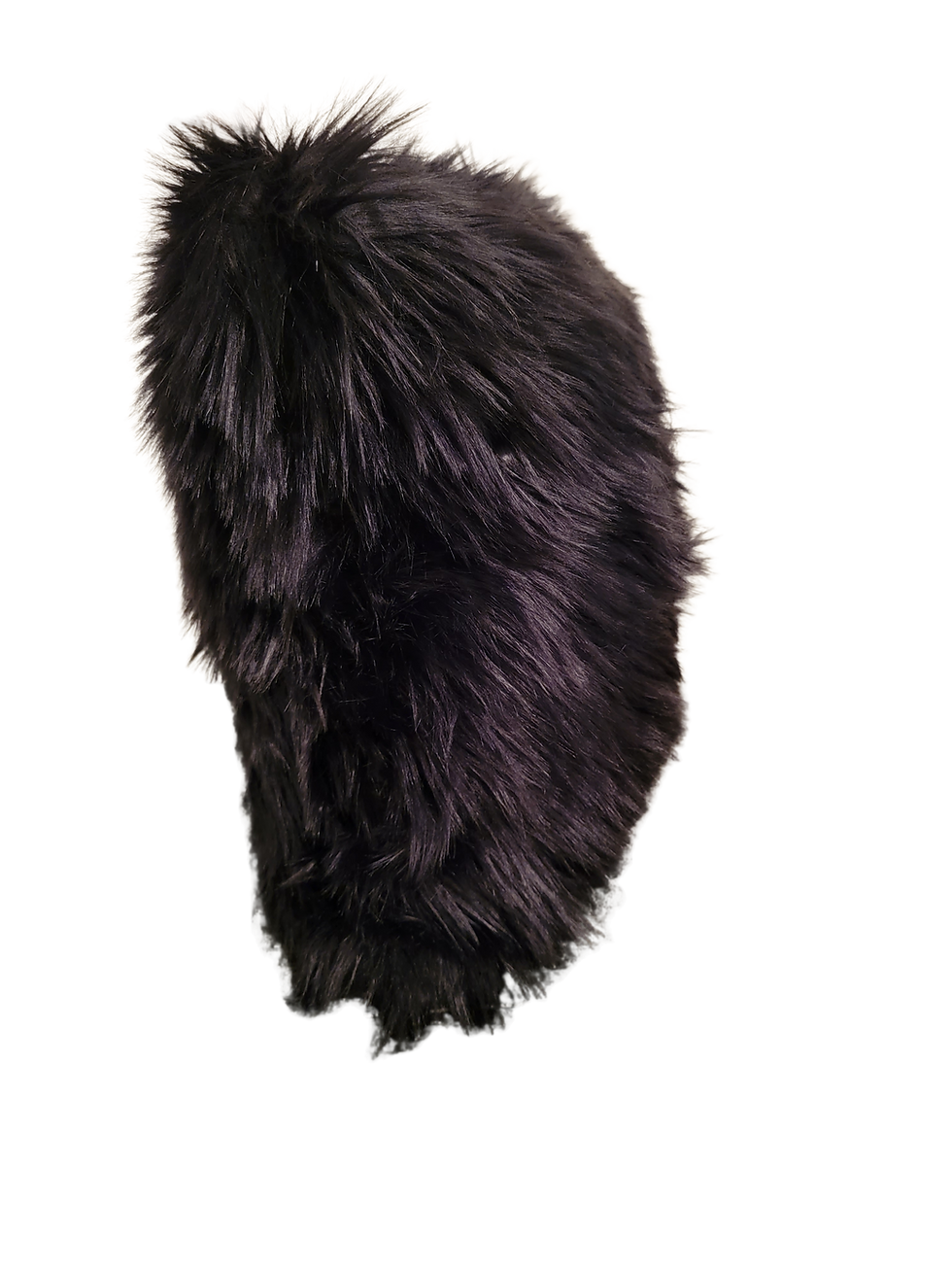 Thumbnail: Black Bear, Black Bear