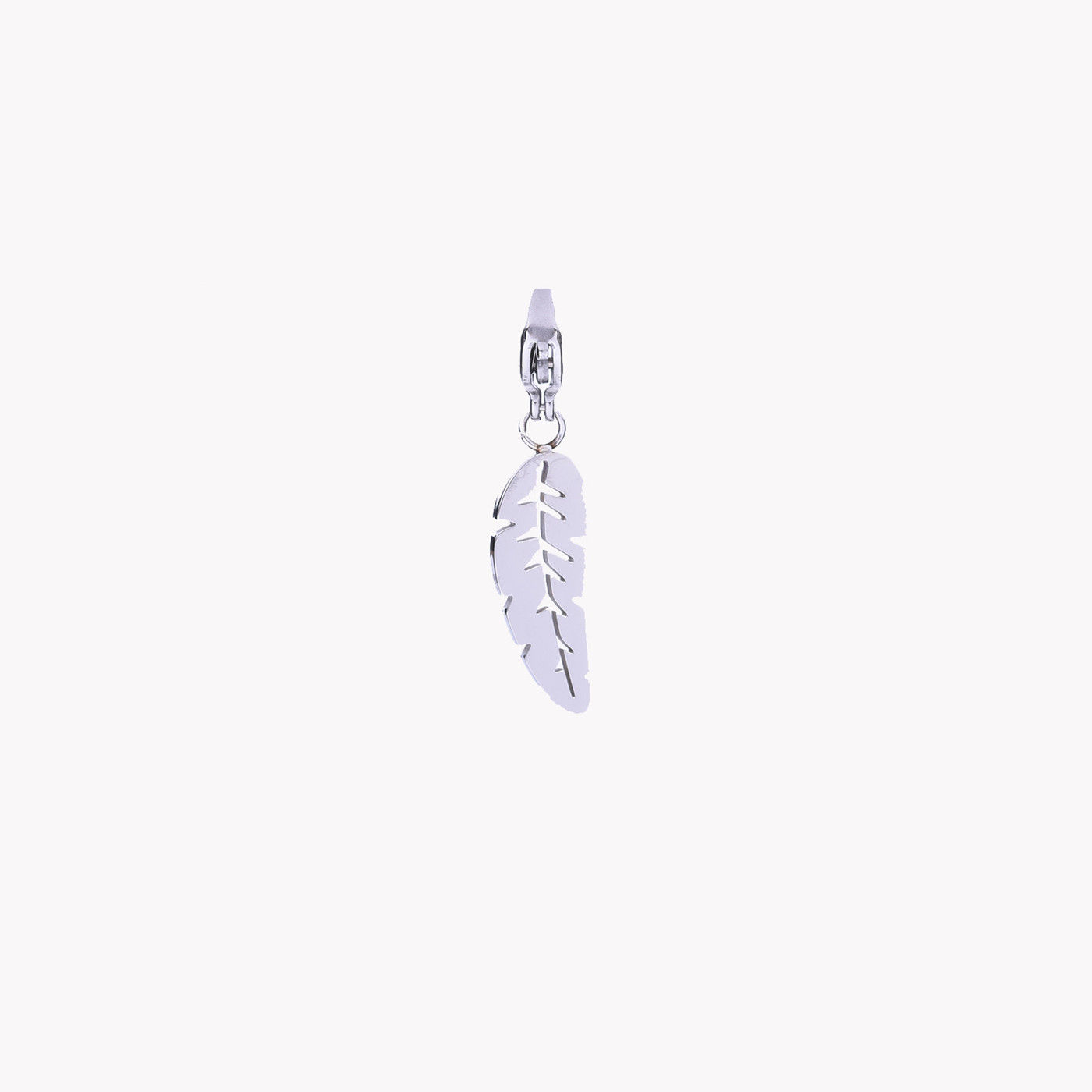 Charm Plume