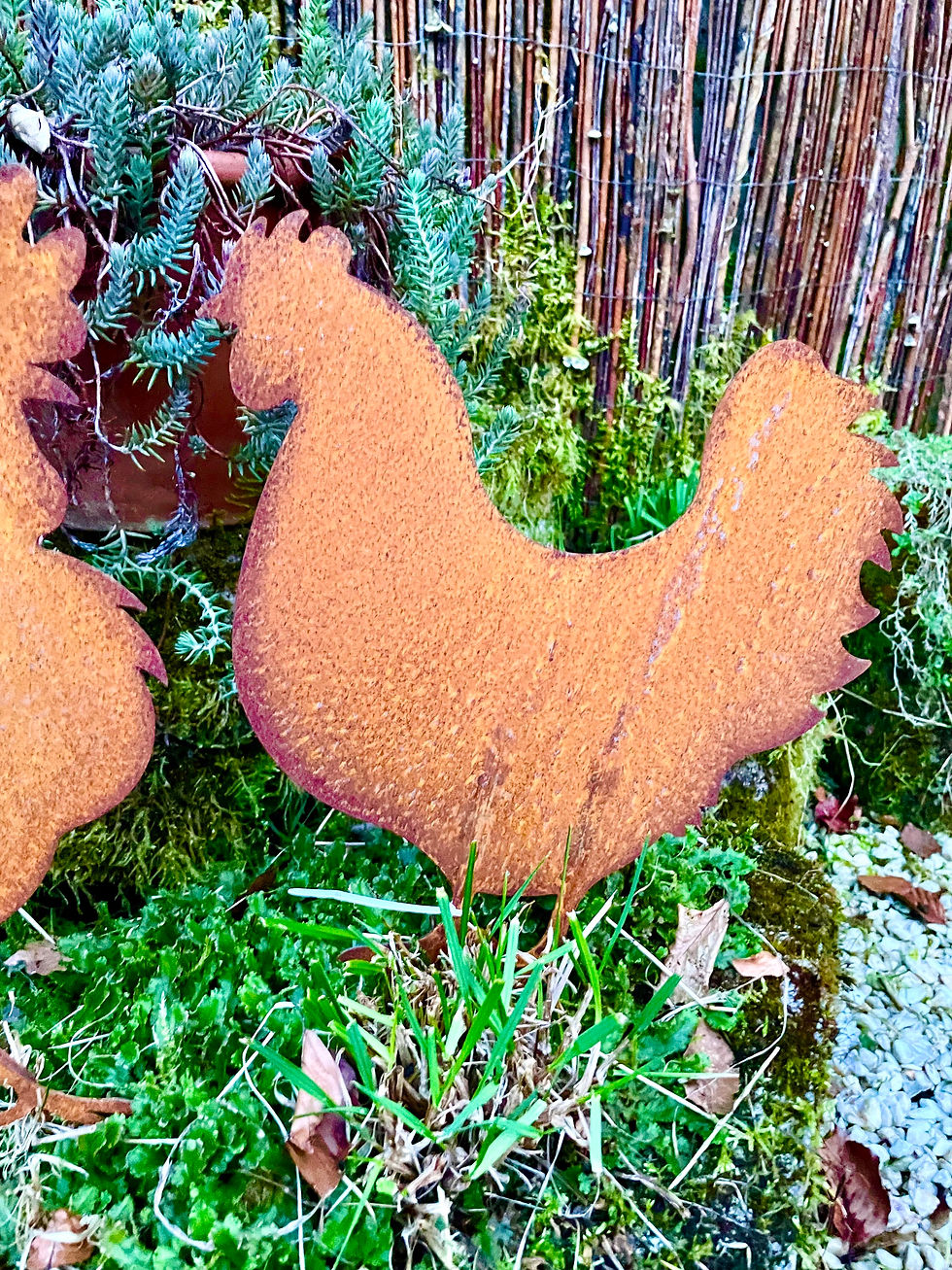 Miniaturbild: Hahn und Huhn z.St.aus Metall,Rost,28xH30+15 Stäbe , Preis pro Stück,Gartendeko,