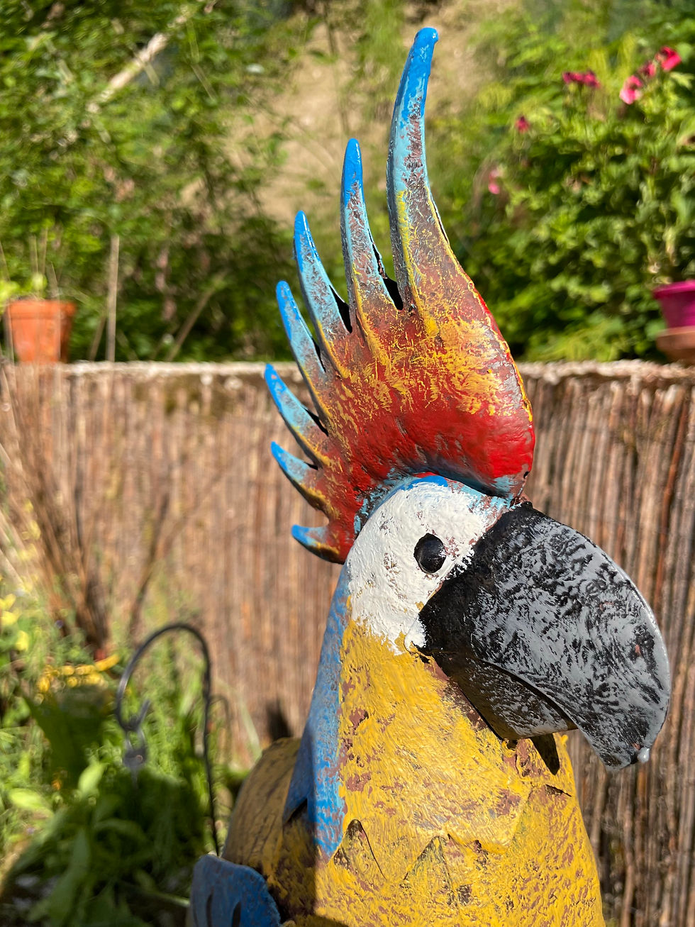 Miniaturbild: Papagei am Stab, Eisen, 15,5 x 85 xH158 cm, Garten