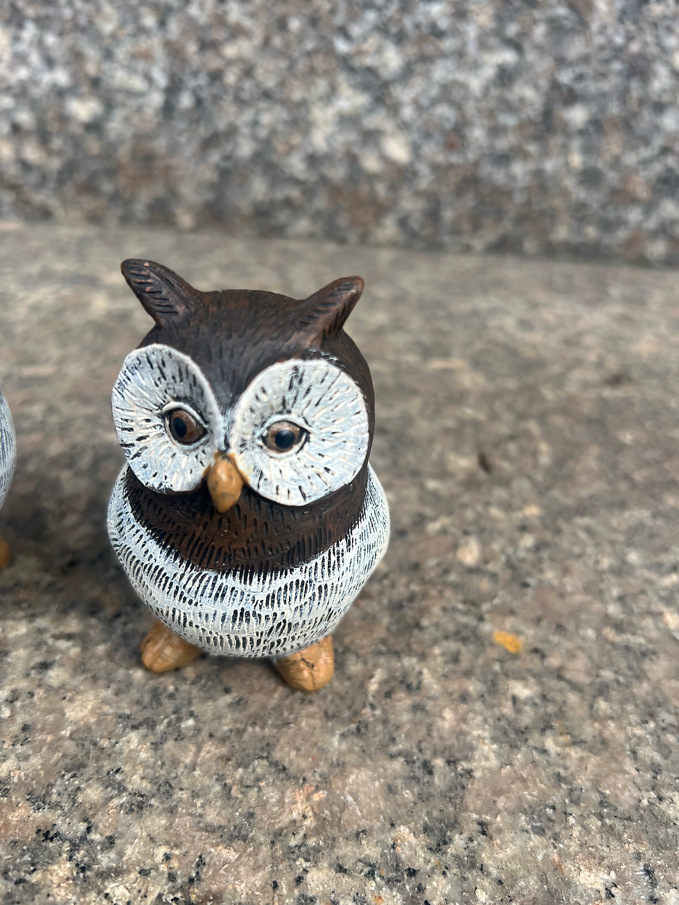 Miniaturbild: Eule,Poly,5x6,5xH8,5 cm,Preis pro Stück ,Frostfest ,Gartendeko,Gartenfigur