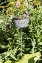 Miniaturbild: Schale am Stab 16x13xH9+70 cm Stab, Eisen, Grau, Gartendeko, Blumentopf 