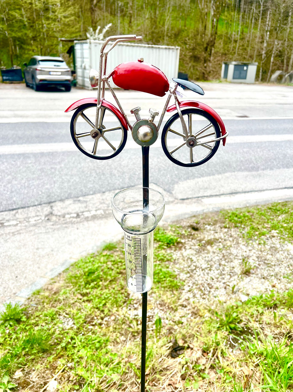Miniaturbild: Metall-Regenmesser Motorrad, 25 x6x H20+ 100 Stab, Gartendeko,Gartendekoration,