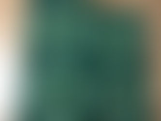 That one quilt that will probably never be finished