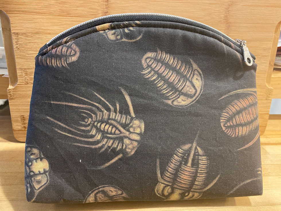 Thumbnail: Trilobite Bellevue Pouch