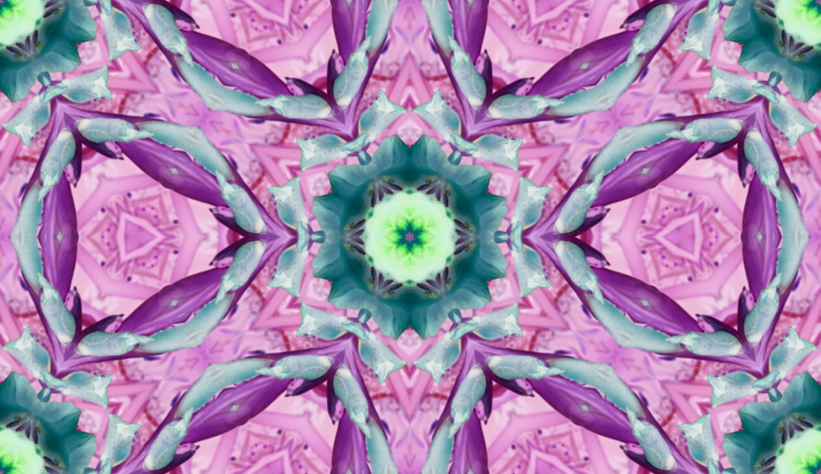 Iris Garden 4 Purple