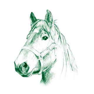 Landschapscamping De Paardenwei