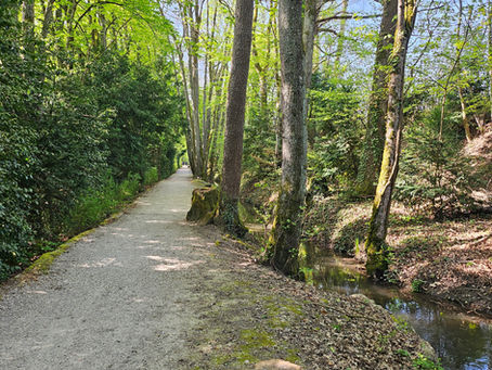 Pilgerbericht von Versoix nach Genf