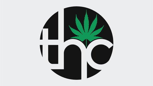 THE HEALING COMPANY