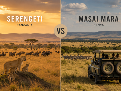 The same migration. Two remarkable landscapes. One unforgettable safari experience.
