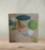 TÉ VERDE