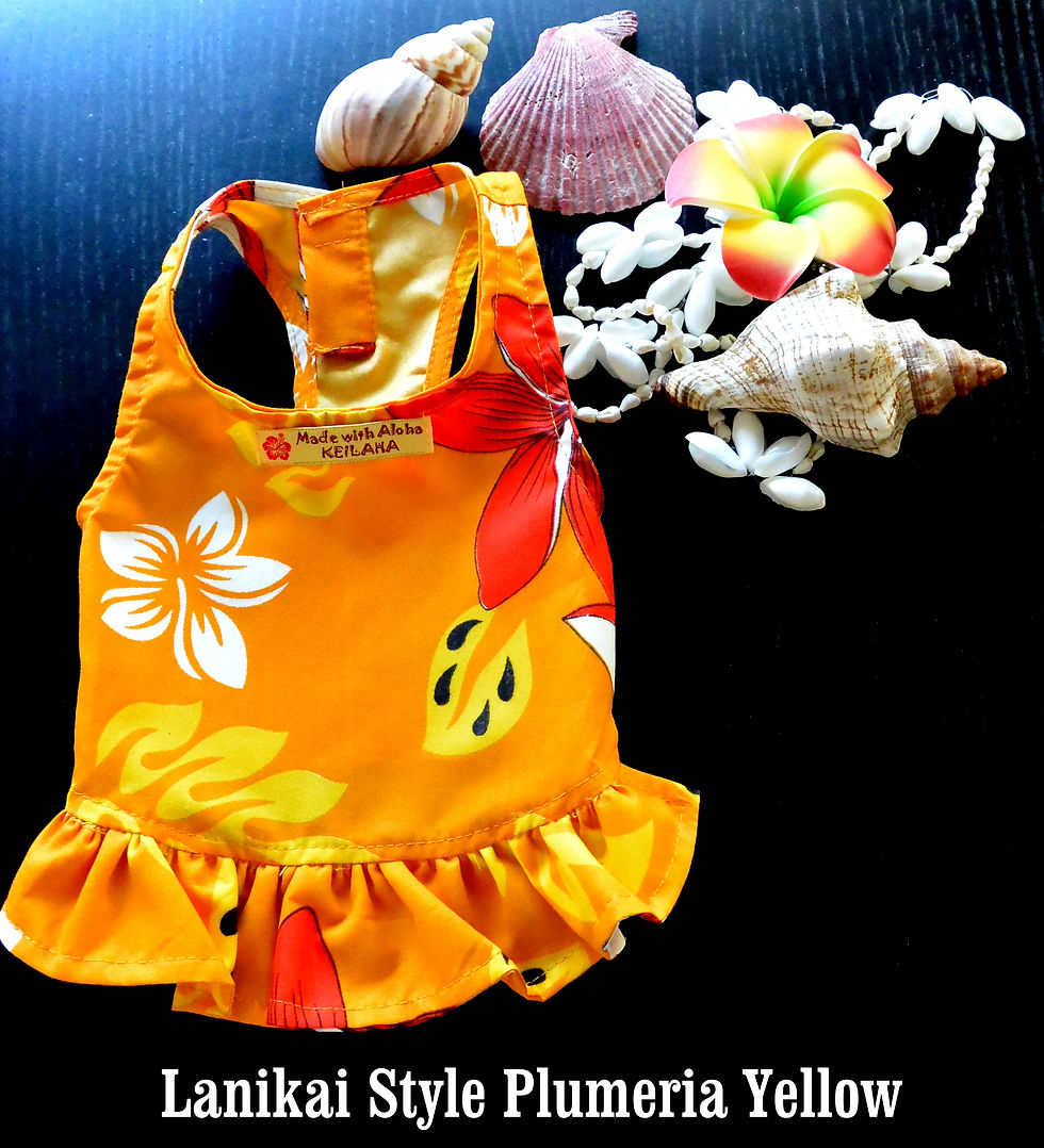 Thumbnail: Lanikai Style Wahine Pooch