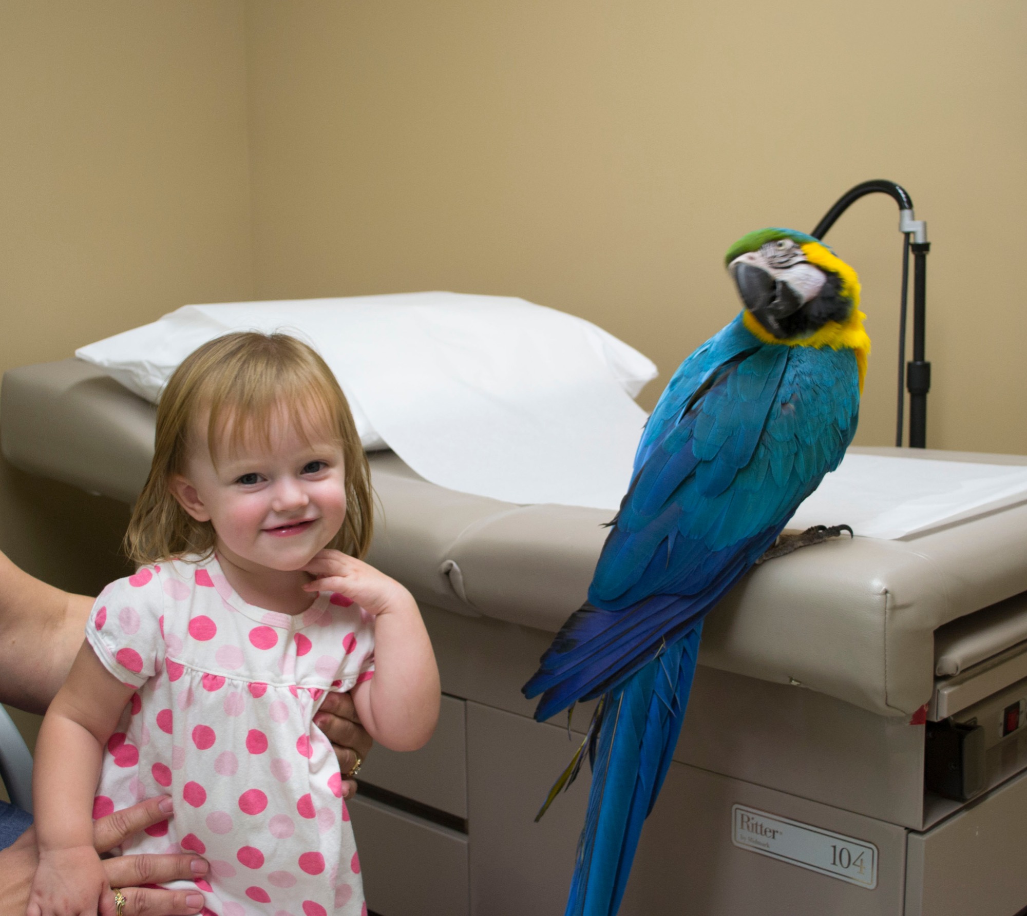 Newport, Charlestown, Claremont Doctors NH Keady Family Practice