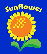 sunflower.png