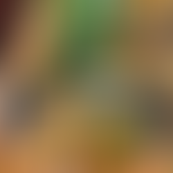 Coonoor on a Plate: Must-Visit Restaurants in 2026