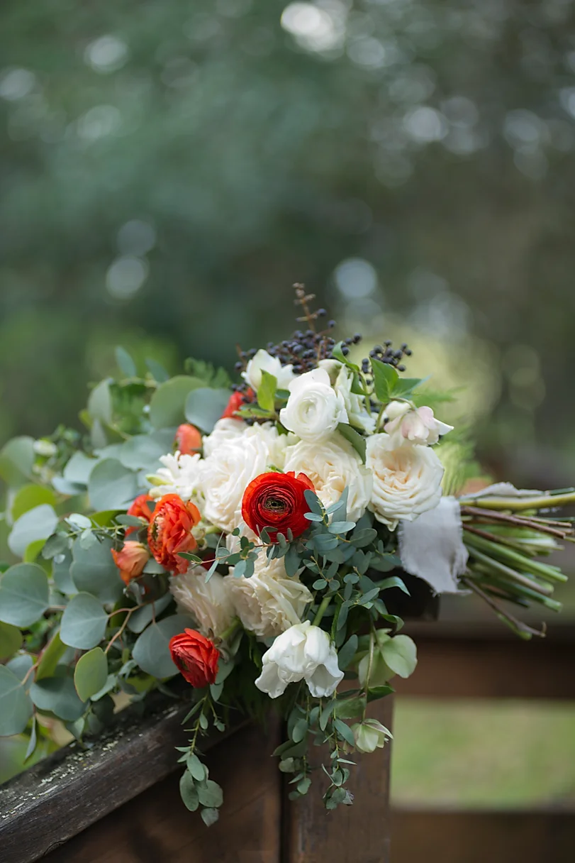 Christine Glebov Photography Back To Flowers Christine Glebov Photography Back To Flowers