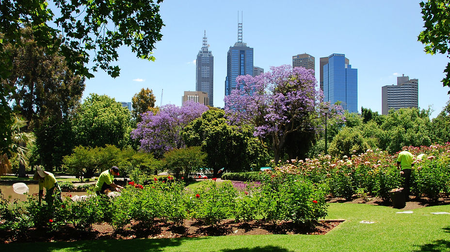 C - Park  (36) - Copy.JPG