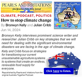 Banner 140 - Julian Podcast - Pearls .png
