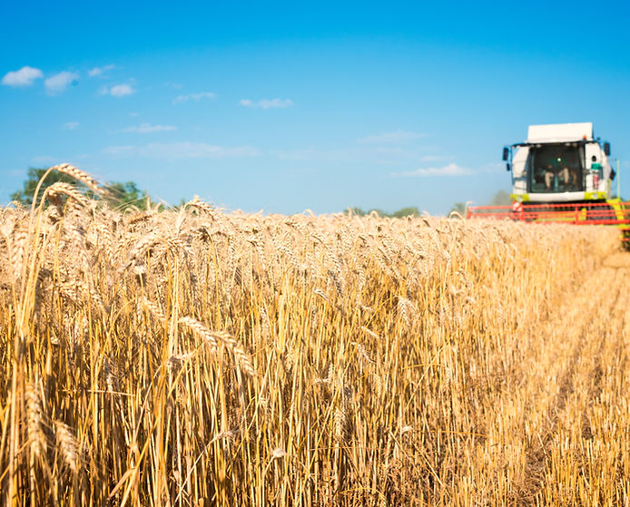 combine-harvester-working-wheat-field.jpg