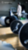 IMG_5016.PNG