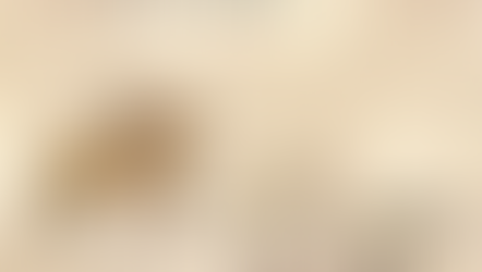 Episode 45: Perlesvaus, Part 6