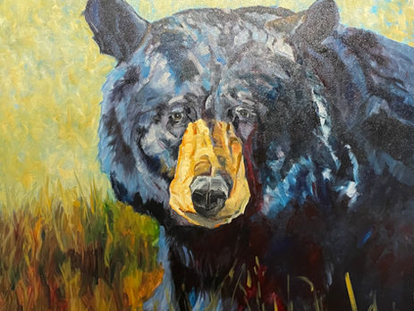 Painting of a black bear with golden snout