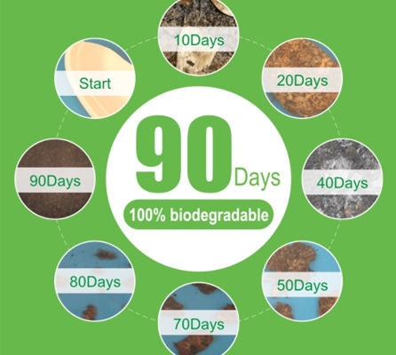 Thumbnail: Adaamya® Plant Bagasse Biomass, Biodegradable, Ecofriendly  Disposable Glass