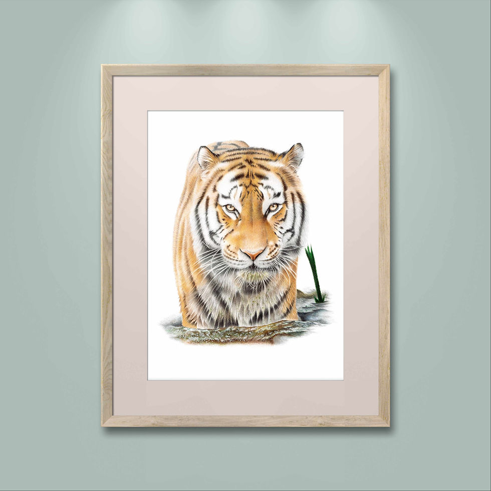 Thumbnail: 'Watchful Waters' Tiger Print