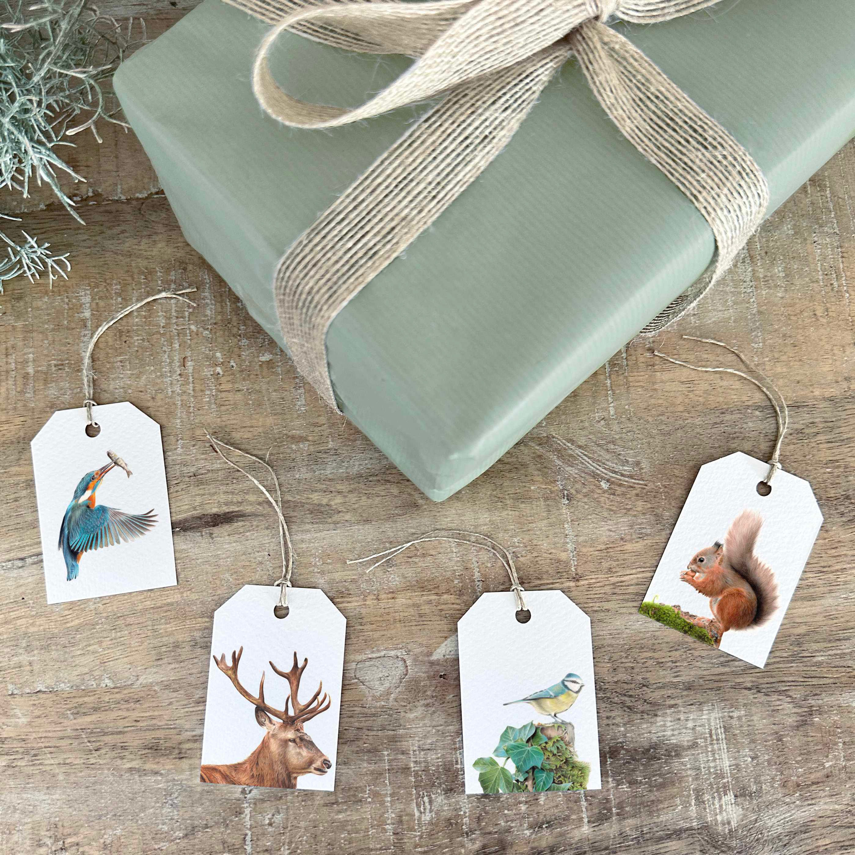 Set of 4 Wildlife Gift Tags: Kingfisher
