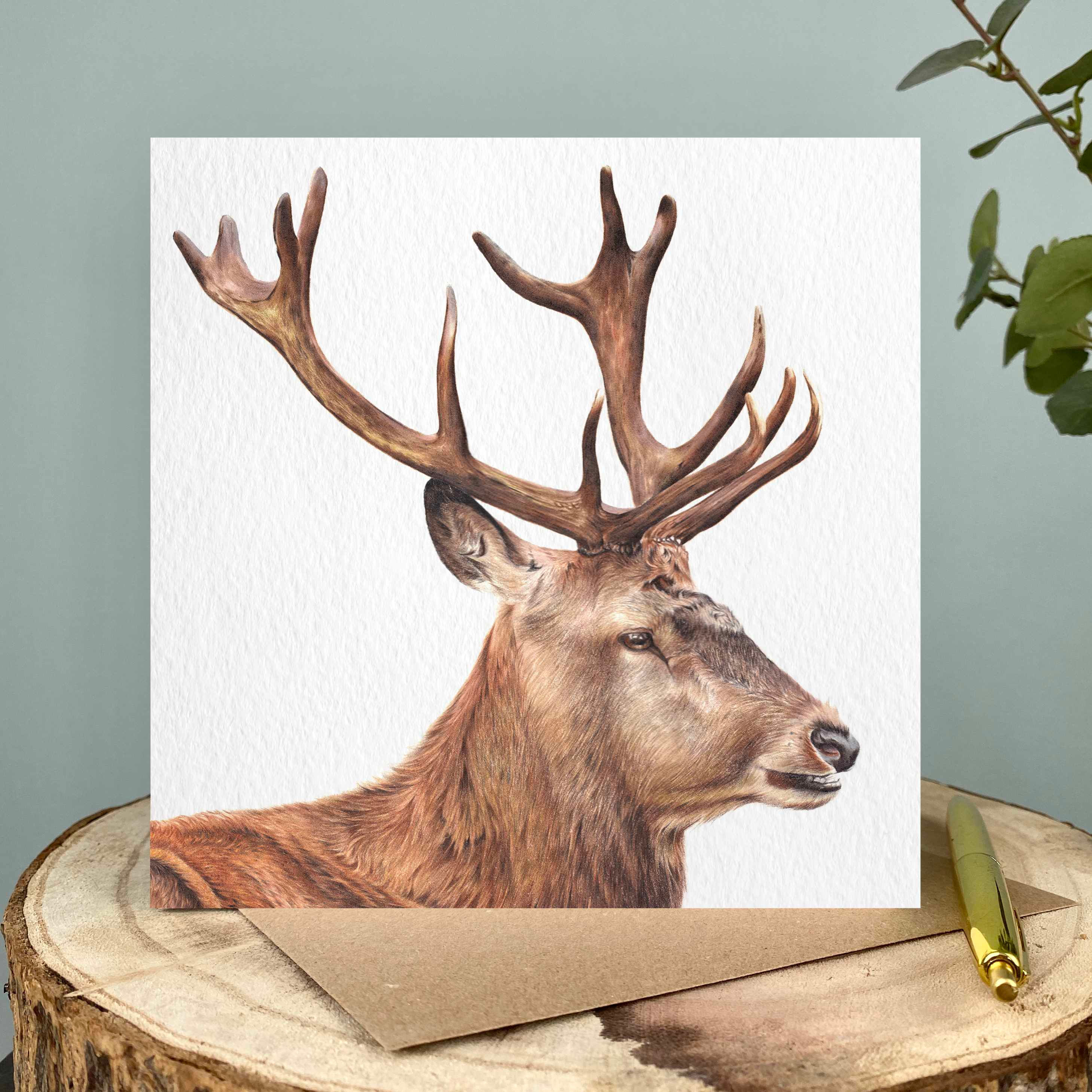 Stag Greetings Card
