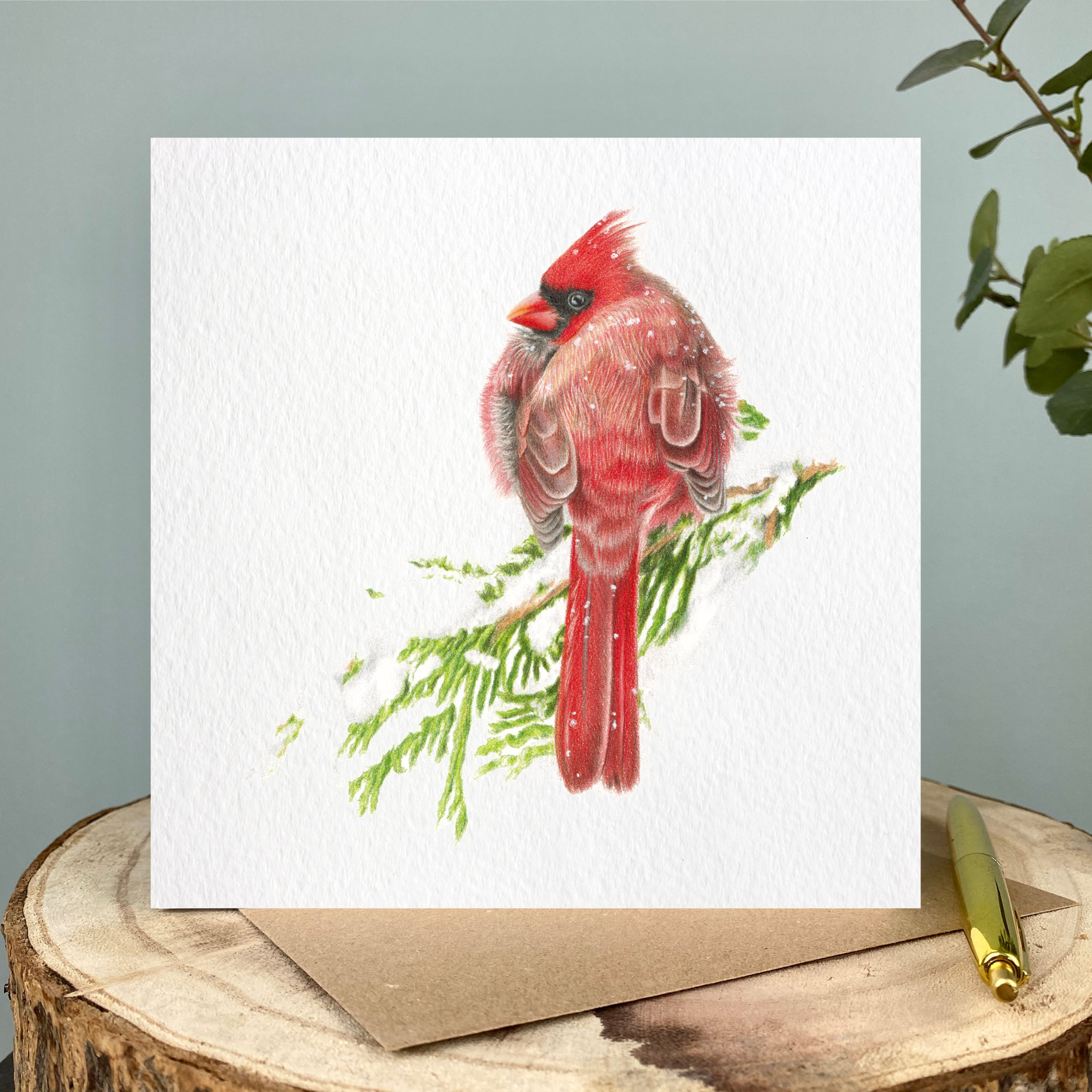 Red Cardinal Greetings Card