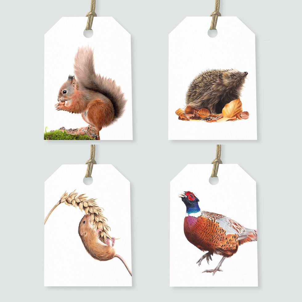 Thumbnail: Set of 4 Wildlife Gift Tags: Red Squirrel