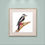 Thumbnail: Woodpecker Mini Square Print