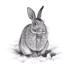 Snowy Bunny Tutorial